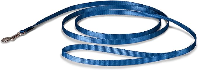 etSafe Nylon Dog Leash – Strong, Durable, Traditional Style Leash with Easy to Use Bolt Snap for Small, Medium and Large Dogs – 3/8" x 6', Royal Blue