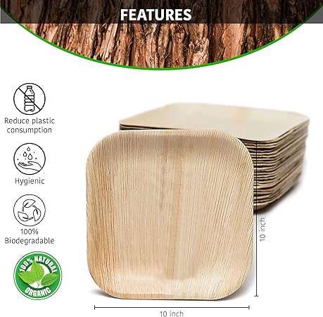 10 Pack Palm Leaf Plates - 10 Inch Square Biodegradable Dinner Plates - Compostable, Sturdy like Bamboo - Eco-Friendly Green Dinnerware for Weddings, Party, Holidays, Christmas, Pack of 10