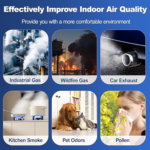 PH01 True HEPA Filter Replacement for Dyson TP06 HP10 TP07 HP06 PH01 HP09 TP10 TP09 HP07 Air Purifier, 2-IN-1 HEPA Carbon Filter (Upgraded), Part No. 970341-01, 1 Pack