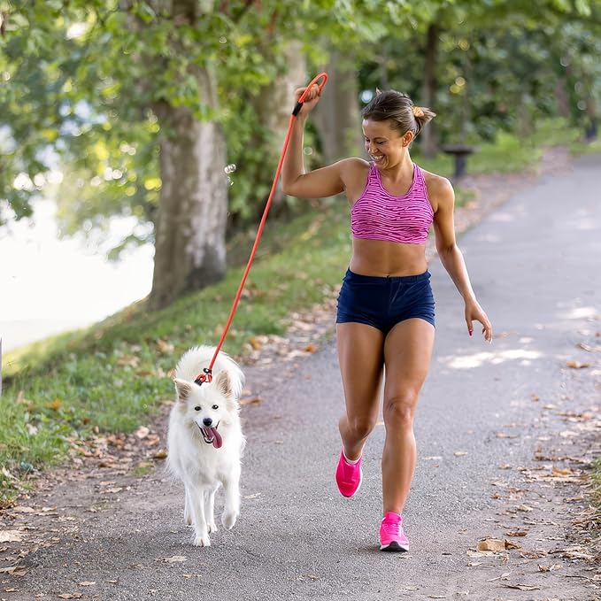 6 - Piece Set! Premium No - Pull Slip Lead Dog Leashes - 5FT Heavy - Duty Rope for Small Medium Dogs in a Vibrant 6 - Color Collection