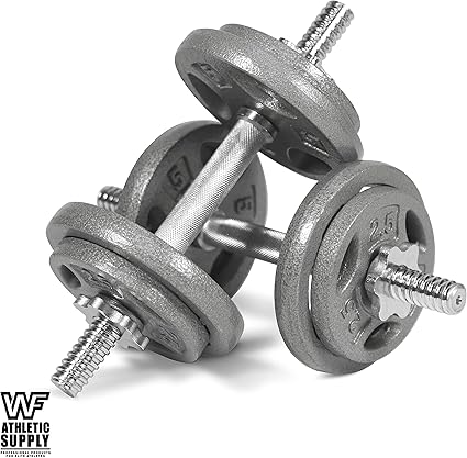 WF Athletic Supply Cast Iron 1-Inch Standard Grip Weight Plate for Strength Training, Charcoal or Gray Color - Pair
