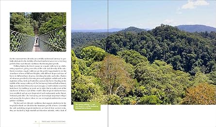 Rare Trees: The Fascinating Stories of the Worlds Most Threatened Species