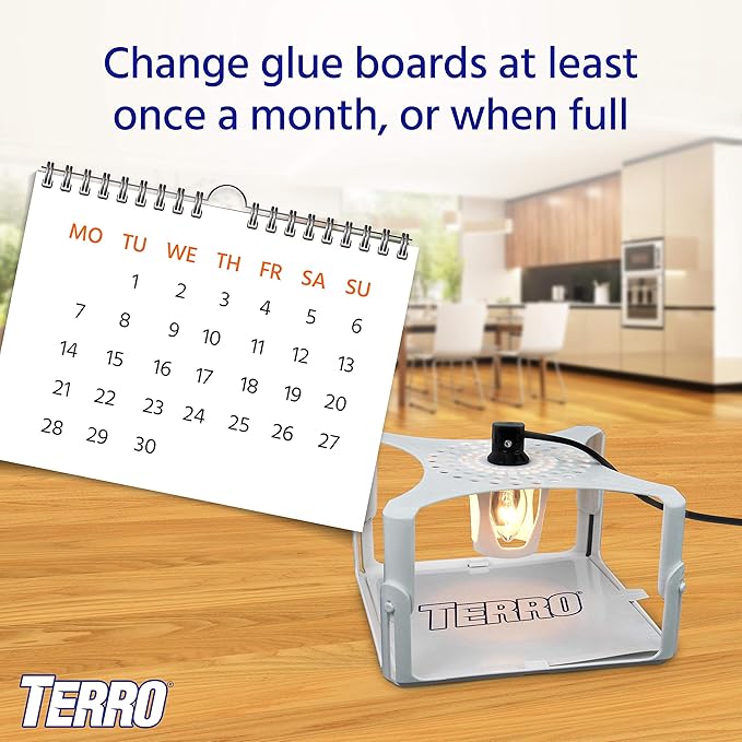 TERRO T231 Flea Trap Refills - Replacement Flea Trap Glue Boards,White, 3 Count (Pack of 1)