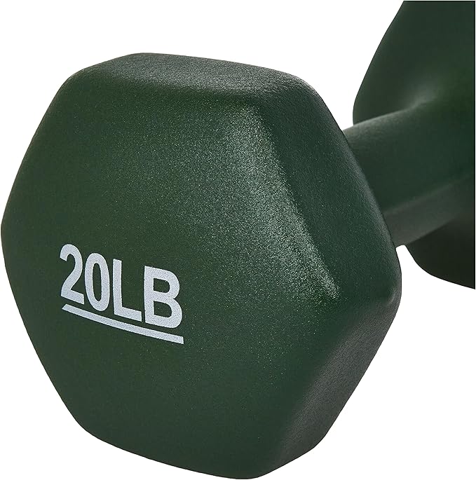Basics Neoprene Dumbbell Hand Weights