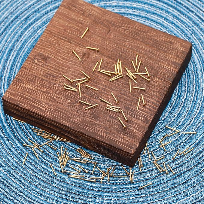 100 Pcs Tiny Brass Nails, Decorative Wooden Nails for DIY Craft Projects(1.2x12mm)