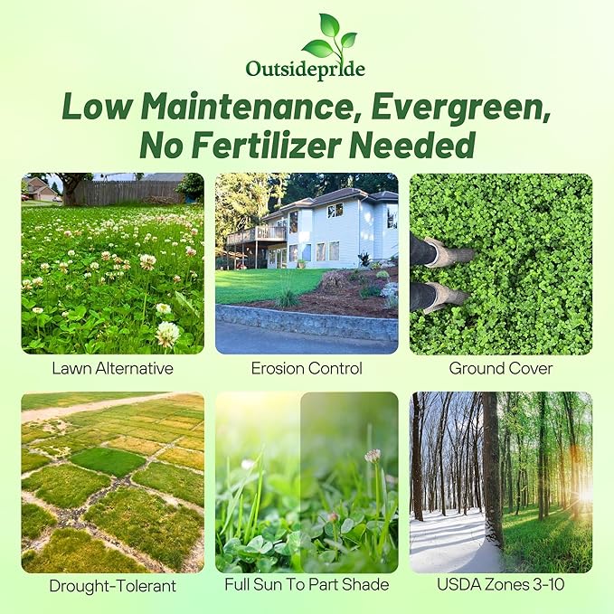 Outsidepride Perennial White Dutch Clover Seed - 5 lbs. Nitrocoated, Inoculated Clover Seeds for Lawn Alternative, Erosion Control, Food Plots, Ground Cover, Pasture Mixtures in USDA Zones 3-10