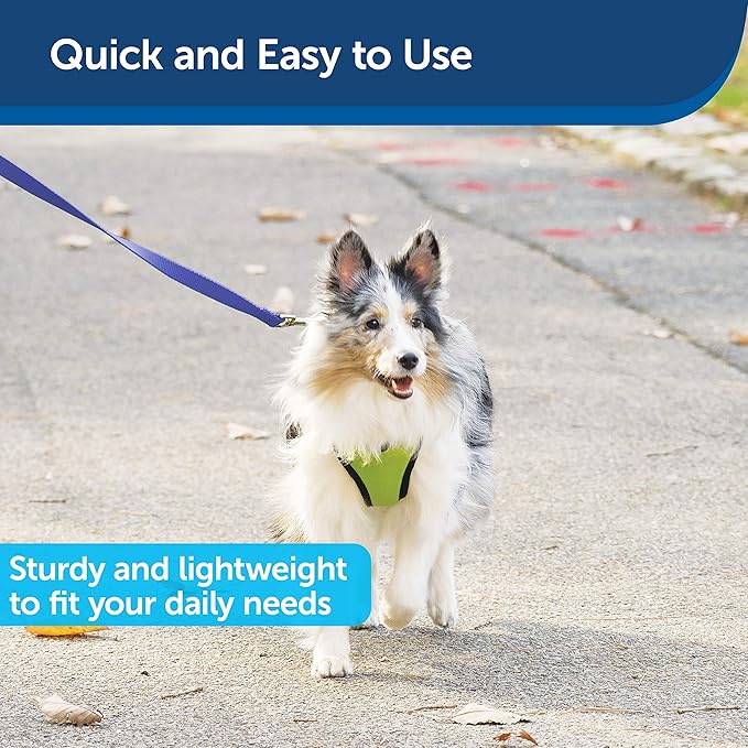 etSafe Nylon Dog Leash – Strong, Durable, Traditional Style Leash with Easy to Use Bolt Snap for Small, Medium and Large Dogs – 3/8" x 6', Royal Blue