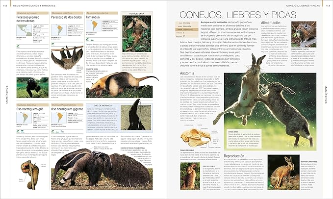 Animal: La guAa visual definitiva