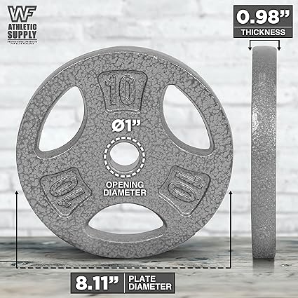 WF Athletic Supply Cast Iron 1-Inch Standard Grip Weight Plate for Strength Training, Charcoal or Gray Color - Pair