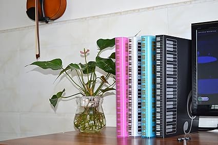 WOGOD Music Sheet File Paper Documents Storage Folder Holder Plastic.A4 Size,40 Pockets (Black)