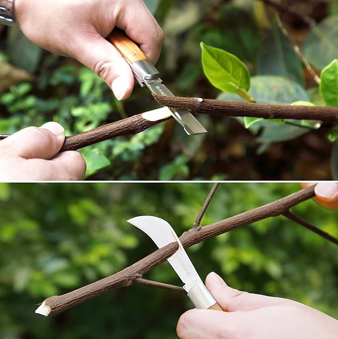 NAYE - 2 in 1 garden grafting tool kit for fruit trees with grafting knife, additional replacement blades included, professional grafting scissor scissors