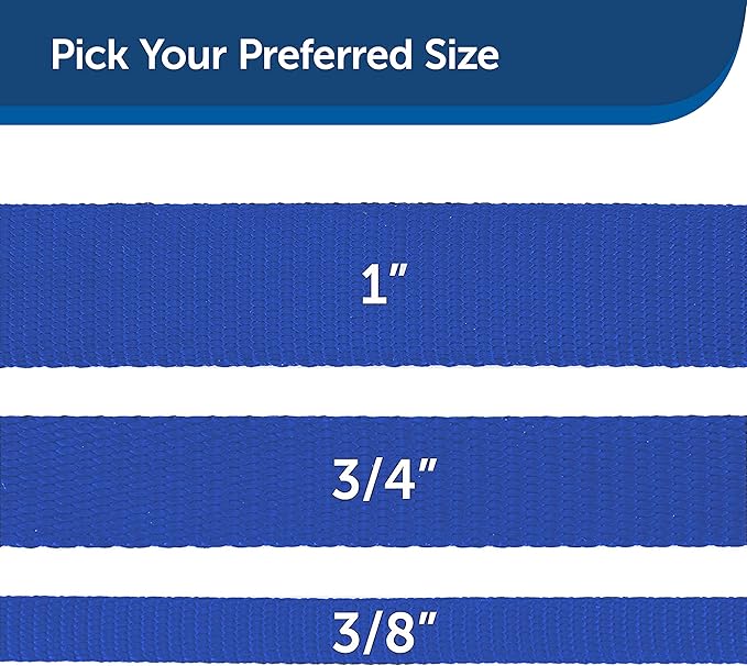 etSafe Nylon Dog Leash – Strong, Durable, Traditional Style Leash with Easy to Use Bolt Snap for Small, Medium and Large Dogs – 3/8" x 6', Royal Blue