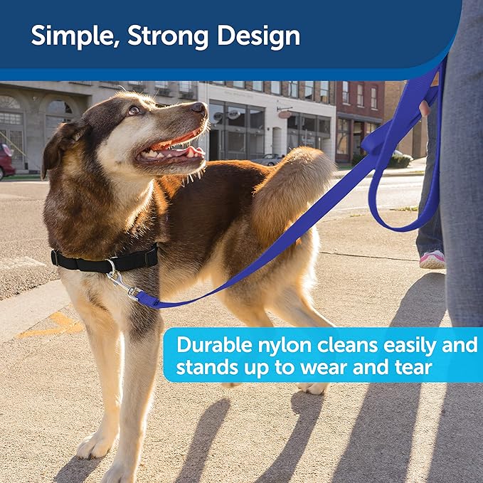 etSafe Nylon Dog Leash – Strong, Durable, Traditional Style Leash with Easy to Use Bolt Snap for Small, Medium and Large Dogs – 3/8" x 6', Royal Blue