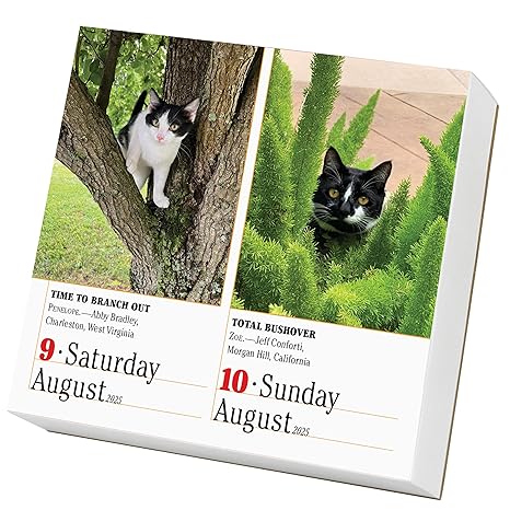 365 Cats Page-A-Day Calendar 2025: The World's Favorite Cat Calendar