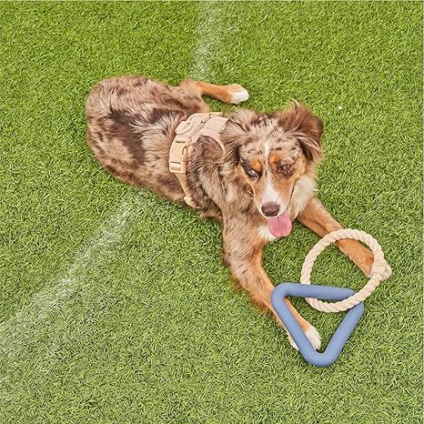 Wild One Triangle Tug Dog Toy - Medium Large Breeds, Rope Toy, Durable for Average Chewers, Blue