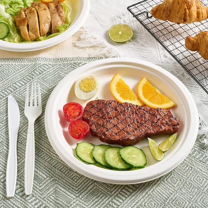Vplus 150 Pack Paper Plates 9 inch 100% Compostable Plates Heavy-Duty Disposable Paper Plates Bagasse Natural Biodegradable Eco-Friendly Sugarcane Plates (White)