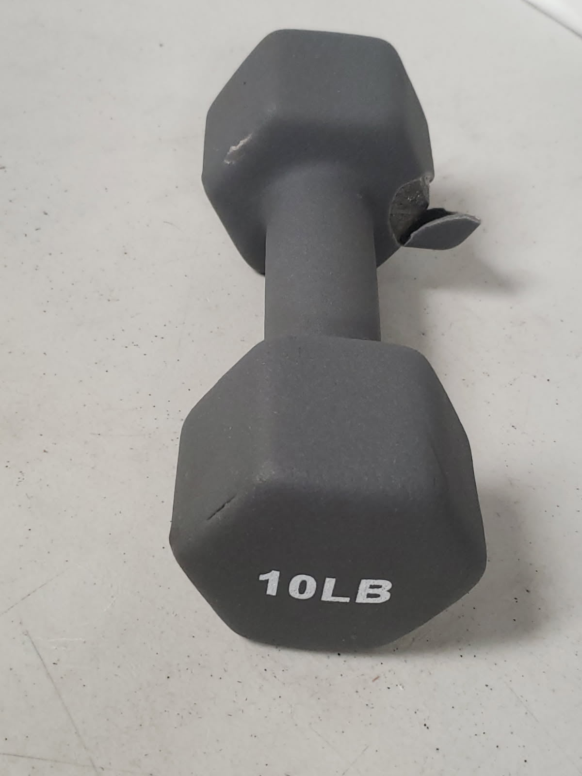 Saorzon 10 lb Hex Dumbbell