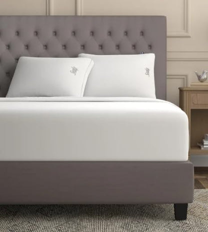 Sealy-Sterling Collection Down-Alternative Pillow, 2-Pack - 400 Thread Count Tencel™ & Cotton Cover Blend (18in x 26in)