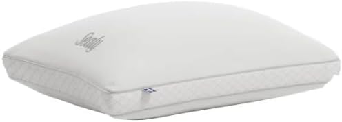 Sealy-Sterling Collection Down-Alternative Pillow, 2-Pack - 400 Thread Count Tencel™ & Cotton Cover Blend (18in x 26in)