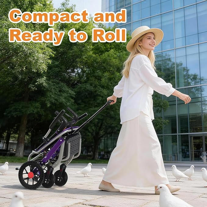 19.4lbs Ultra Lightweight Folding Wheelchair for Adults & Seniors, 12" PU Rear Wheels, Portable Transport Chair, Supports 300lbs, Compact for Travel & Daily Use