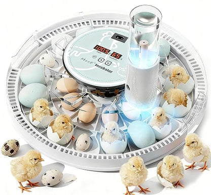 MeeF Egg Incubator for Hatching 28 Eggs, Auto Flip, Independent Atomizing Humidifier, with Duck and Goose Egg Trays (Green)