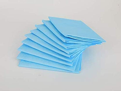 WOIWO 20 PCS Dog Pet Thickening Pad Dog Deodorant Absorbent Diaper Disposable Grooming Pad Pet Cleaning Product Diaper