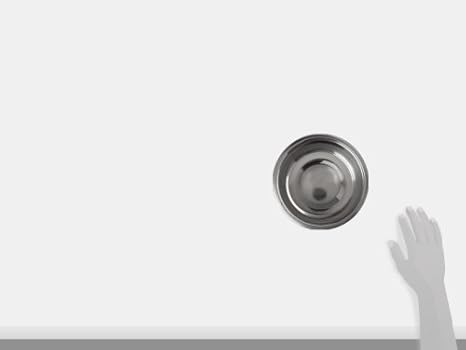 Loving Pets Standard Stainless Dish, Dog Bowl, 2-Quart