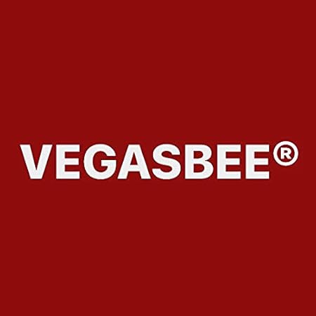 VEGASBEE Godspeed Winged Cross Patch Wings Christian Embroidered Iron-On Patch Emblem Large Size 12" by 8.5" inches USA