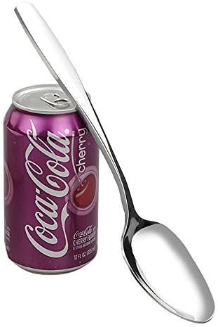 Ggbin 6 Pieces Stainless Steel Dinner Buffet Serving Spoons, 9.75 Inches