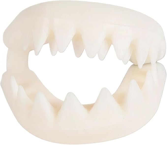 Rhode Island Novelty Great White Shark Teeth