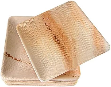 10 Pack Palm Leaf Plates - 10 Inch Square Biodegradable Dinner Plates - Compostable, Sturdy like Bamboo - Eco-Friendly Green Dinnerware for Weddings, Party, Holidays, Christmas, Pack of 10