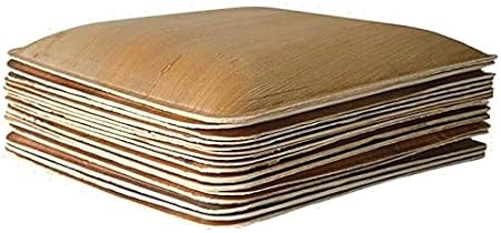 10 Pack Palm Leaf Plates - 10 Inch Square Biodegradable Dinner Plates - Compostable, Sturdy like Bamboo - Eco-Friendly Green Dinnerware for Weddings, Party, Holidays, Christmas, Pack of 10