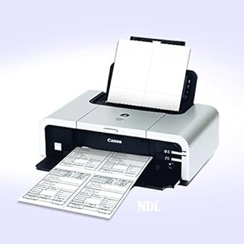 NextDayLabels - W-2 Paper Forms 4-Up Version (Box of 1000 Sheets)