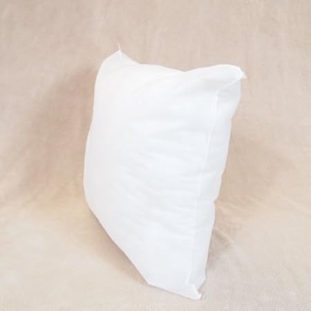 18x18 Pillow Form Insert for Throws