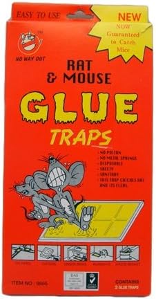 Wholesale Rat  Mouse Glue Traps 2pk Box