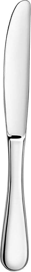 Artaste Rain 1810 Stainless Steel (Silver (Set of 12), Dinner Knife (9.15-Inch))