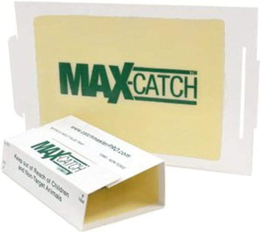 Full Case of 72 Catchmaster MouseSpiderInsectScorpion Glue Board Sticky Traps Peanut Butter Scent