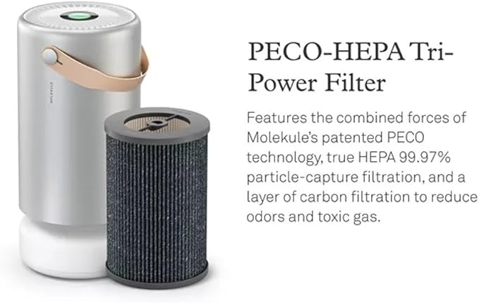 Molekule PECO-HEPA Tri-Power Filter Air Mini and Air Mini  Air Purifier Replacement Filters for Allergens, Smoke, Mold, Bacteria, Viruses  Other Pollutants for Clean Air - Gray