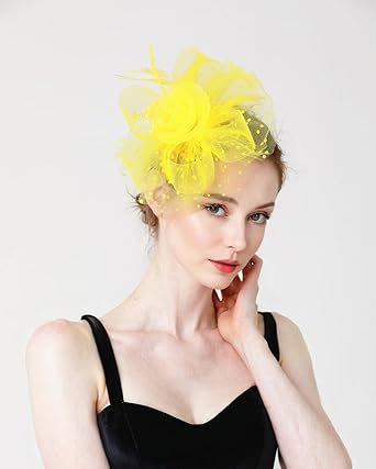 Kentucky Derby Hat for Women 2025 Fascinators Hat Elegant Mesh Feather Headband with Clip Tea Party Hats