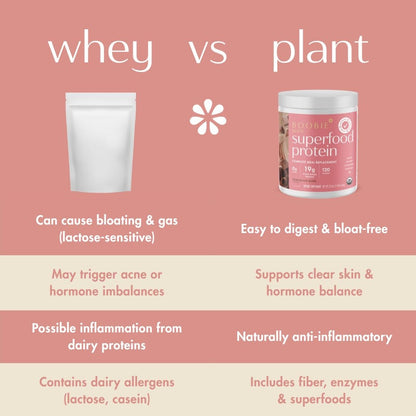 Boobie Body Superfood Protein Pregnancy and Postpartum Meal Replacement Shake, Chocolate Bliss Flavor | 19g Protein | Safe for Lactation & Motherhood | Organic, Vegan, Zero Sugar, 1 Tub (20 Servings)