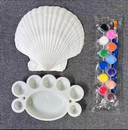 6 PCS Large Scallop Shells 4-5 inch Natural White Scallop Shells from Sea Beach for DIY Craft Decor