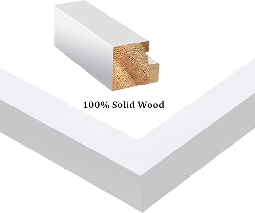 Egofine 11x14 Picture Frame White - Photo Frame Made of Solid Wood Covered by Plexiglass for Table Top Display Pictures 5x7/8x10 with Mat or 11x14 Without Mat - with Wall Mounting Hardware