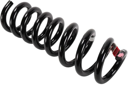 GM Genuine Parts 23496650 Rear Coil Spring