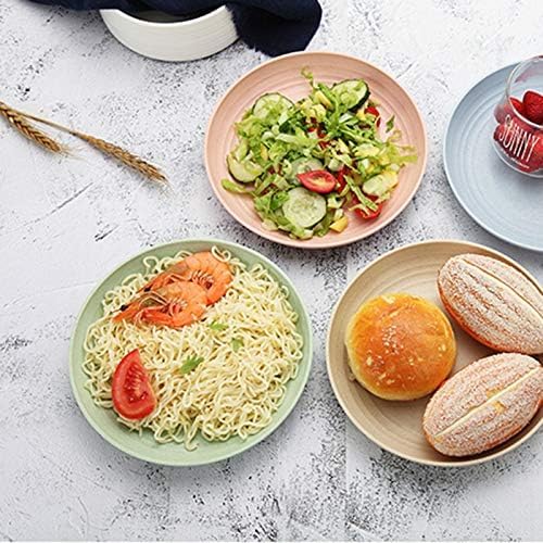 Wheat Straw Plates Plastic Plates Reusable 10 Inch - Microwave Safe Plates for Kitchen Set of 4, Unbreakable Dinner Plates