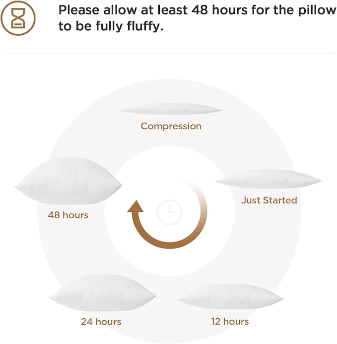Acanva Decorative Rectangle Throw Pillow Inserts Hypoallergenic Form Stuffer Cushion Sham Filler, 1 Count (Pack of 1), White