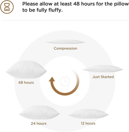 Acanva Decorative Rectangle Throw Pillow Inserts Hypoallergenic Form Stuffer Cushion Sham Filler, 1 Count (Pack of 1), White
