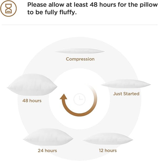 Acanva Decorative Square Throw Pillow Inserts Hypoallergenic Form Stuffer Cushion Sham Filler, 1 Count (Pack of 1), White