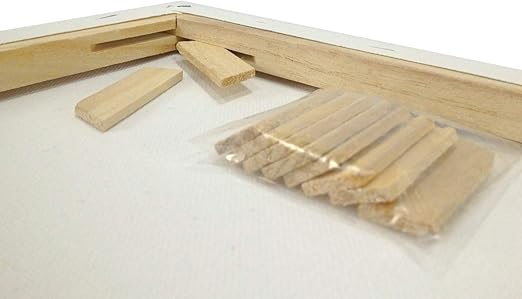 EDM Lot 2 Artist Canvas 8x10 Blank Pre-Stretched Framed Cotton Double Gesso