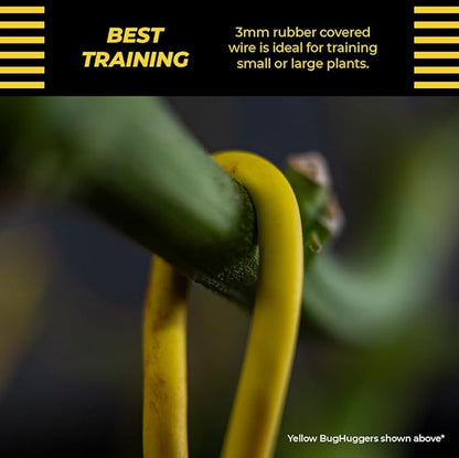 BudHuggers for Optimal Plant Training  50ft (15M)  3mm Thick Garden Wire Ties  Flexible  Durable  Rubber Plant Ties to Yield Bigger Buds, Stronger Branches  Larger Canopies (Yellow)
