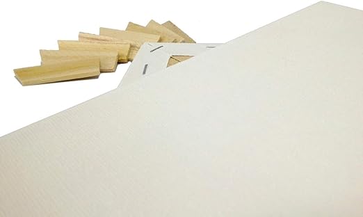 EDM Lot 2 Artist Canvas 8x10 Blank Pre-Stretched Framed Cotton Double Gesso
